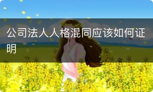 公司法人人格混同应该如何证明