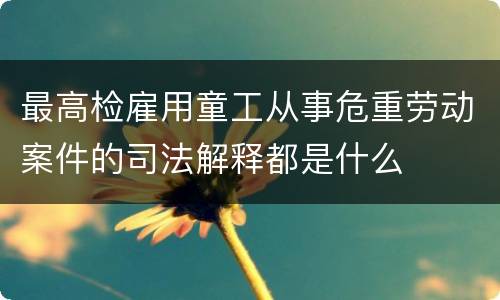 最高检雇用童工从事危重劳动案件的司法解释都是什么