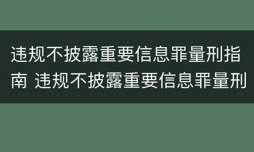 违规不披露重要信息罪量刑指南 违规不披露重要信息罪量刑指南最新
