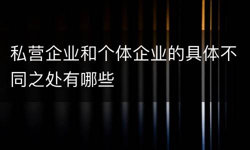 私营企业和个体企业的具体不同之处有哪些