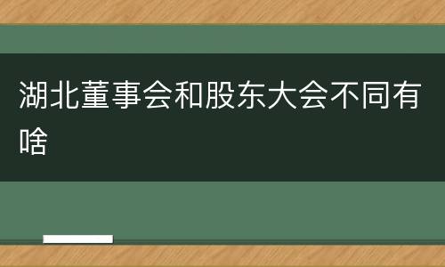 湖北董事会和股东大会不同有啥