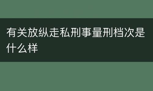 有关放纵走私刑事量刑档次是什么样