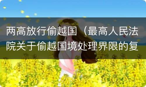 两高放行偷越国（最高人民法院关于偷越国境处理界限的复函）