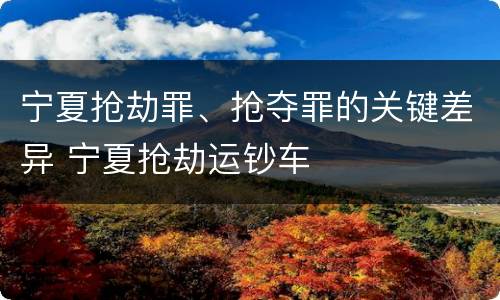 宁夏抢劫罪、抢夺罪的关键差异 宁夏抢劫运钞车