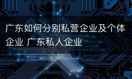 广东如何分别私营企业及个体企业 广东私人企业