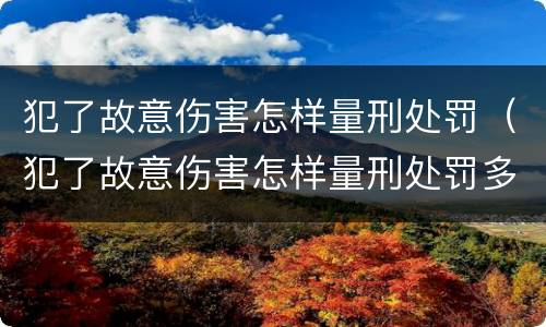 犯了故意伤害怎样量刑处罚（犯了故意伤害怎样量刑处罚多少钱）