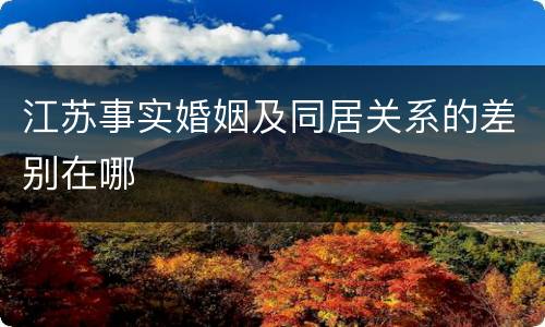 江苏事实婚姻及同居关系的差别在哪