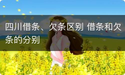 四川借条、欠条区别 借条和欠条的分别