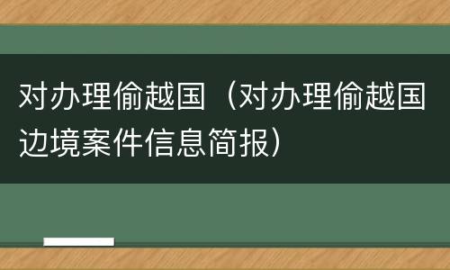 对办理偷越国（对办理偷越国边境案件信息简报）