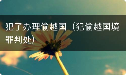犯了办理偷越国（犯偷越国境罪判处）