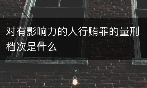 对有影响力的人行贿罪的量刑档次是什么