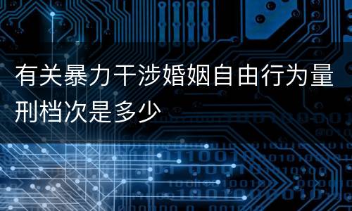 有关暴力干涉婚姻自由行为量刑档次是多少