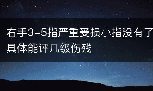 右手3-5指严重受损小指没有了具体能评几级伤残