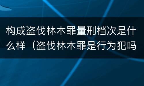 构成盗伐林木罪量刑档次是什么样（盗伐林木罪是行为犯吗）