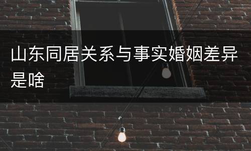 山东同居关系与事实婚姻差异是啥