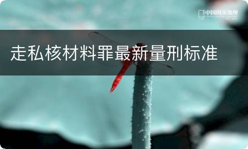 走私核材料罪最新量刑标准