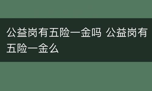公益岗有五险一金吗 公益岗有五险一金么