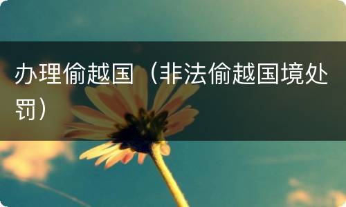 办理偷越国（非法偷越国境处罚）