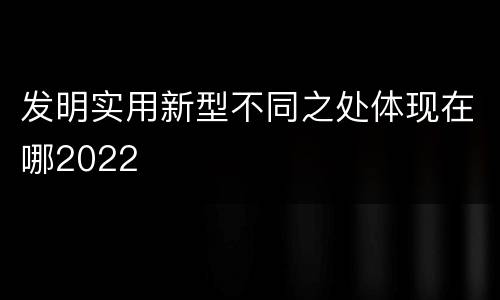 发明实用新型不同之处体现在哪2022