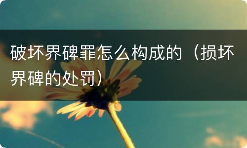 破坏界碑罪怎么构成的（损坏界碑的处罚）