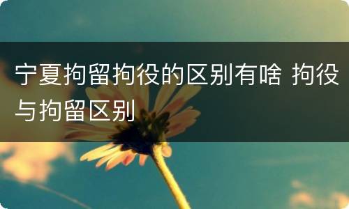 宁夏拘留拘役的区别有啥 拘役与拘留区别