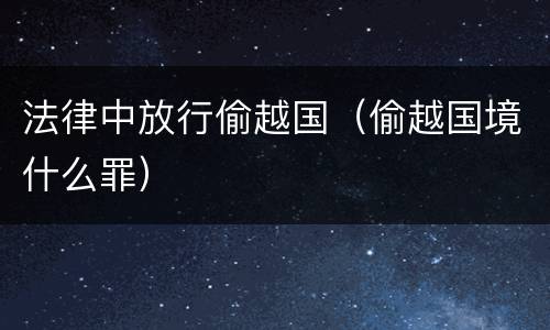 法律中放行偷越国（偷越国境什么罪）