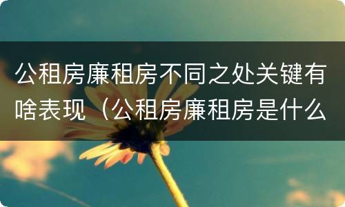 公租房廉租房不同之处关键有啥表现（公租房廉租房是什么）