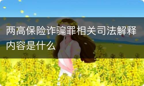 两高保险诈骗罪相关司法解释内容是什么