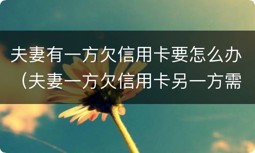 夫妻有一方欠信用卡要怎么办（夫妻一方欠信用卡另一方需要还吗）