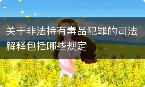 关于非法持有毒品犯罪的司法解释包括哪些规定