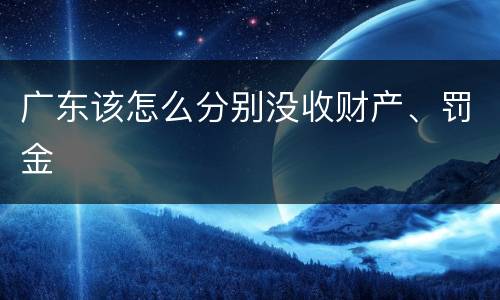 广东该怎么分别没收财产、罚金