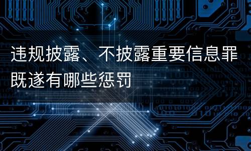 违规披露、不披露重要信息罪既遂有哪些惩罚