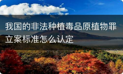 我国的非法种植毒品原植物罪立案标准怎么认定