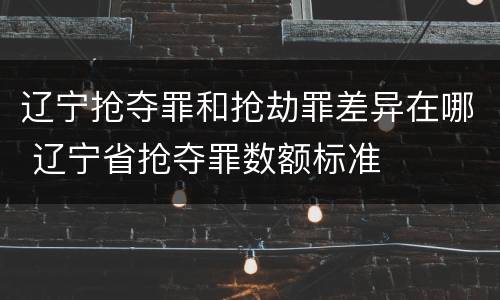 辽宁抢夺罪和抢劫罪差异在哪 辽宁省抢夺罪数额标准