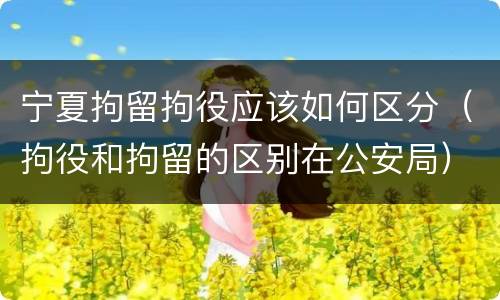 宁夏拘留拘役应该如何区分（拘役和拘留的区别在公安局）