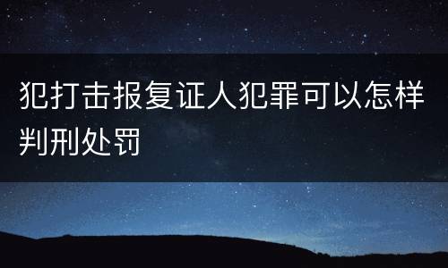 犯打击报复证人犯罪可以怎样判刑处罚