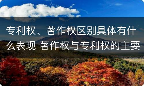 专利权、著作权区别具体有什么表现 著作权与专利权的主要区别是什么