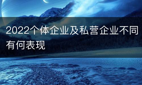 2022个体企业及私营企业不同有何表现