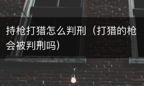 持枪打猎怎么判刑（打猎的枪会被判刑吗）
