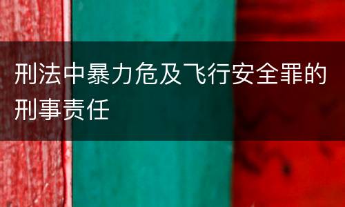 刑法中暴力危及飞行安全罪的刑事责任