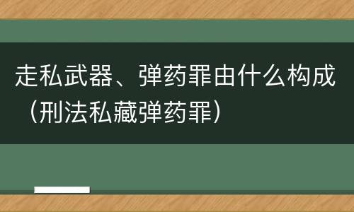 走私武器、弹药罪由什么构成（刑法私藏弹药罪）
