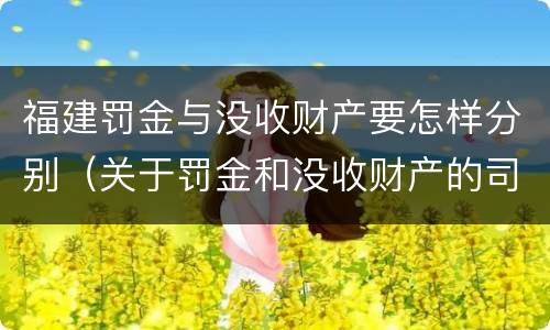 福建罚金与没收财产要怎样分别（关于罚金和没收财产的司法解释）