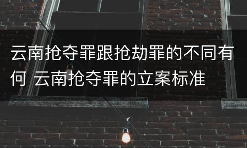 云南抢夺罪跟抢劫罪的不同有何 云南抢夺罪的立案标准
