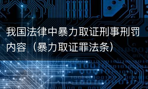 我国法律中暴力取证刑事刑罚内容（暴力取证罪法条）