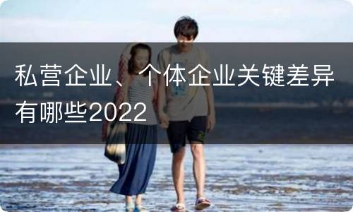 私营企业、个体企业关键差异有哪些2022