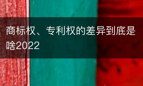商标权、专利权的差异到底是啥2022