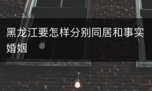 黑龙江要怎样分别同居和事实婚姻