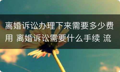 离婚诉讼办理下来需要多少费用 离婚诉讼需要什么手续 流程2021