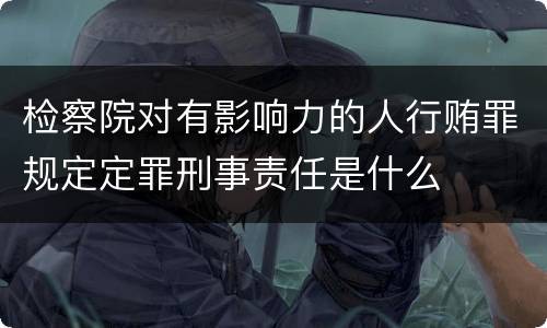检察院对有影响力的人行贿罪规定定罪刑事责任是什么