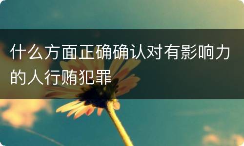 什么方面正确确认对有影响力的人行贿犯罪